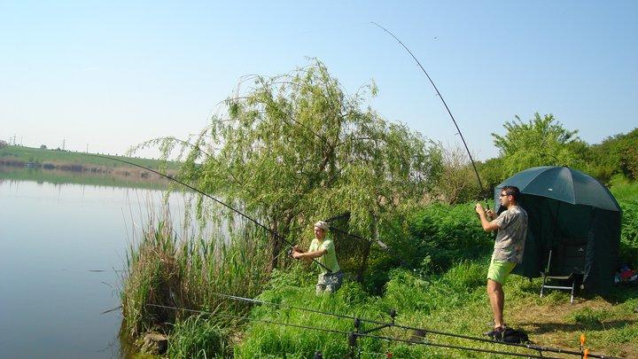 tancabesti - 2485501928450107633082255034n.jpg